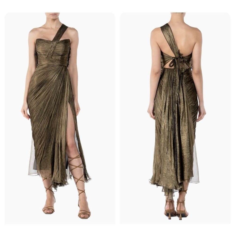 Maria Lucia Hohan Maia Metallic Mousseline Silk Dress